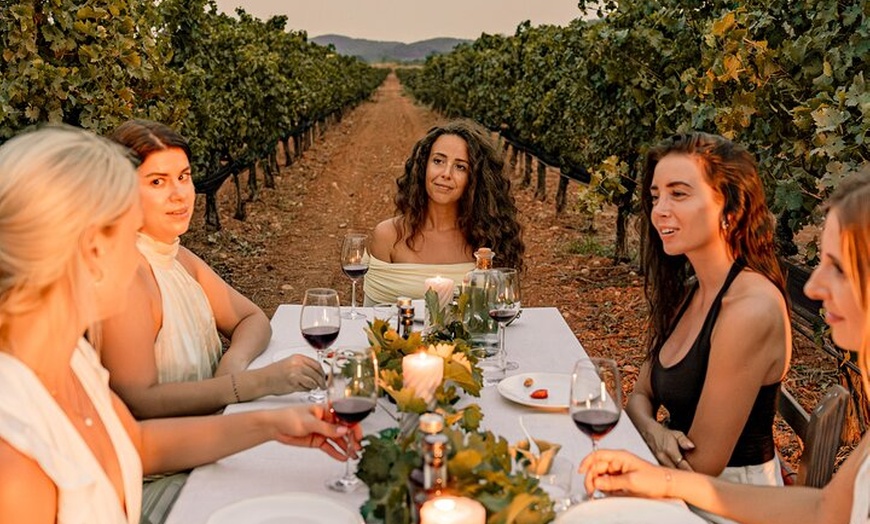 Image 16: Ibiza : Cata privada de vinos y aceites de oliva y Tapas y transporte