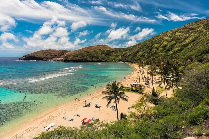 Oahu Private Tour with Mercedes Sprinter & New Luxury Vehicles