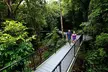 3-Day Best of Cairns Combo: The Daintree Rainforest, Great Barrier Reef, and Kuranda - Image 4