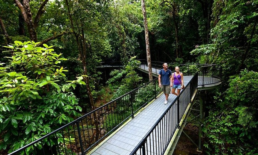 Image 4: 3-Day Best of Cairns Combo: The Daintree Rainforest, Great Barrier ...