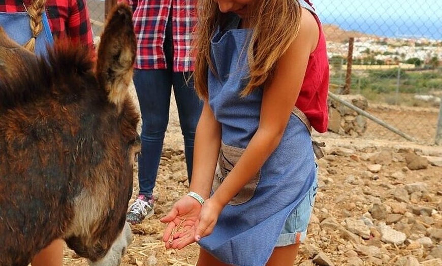 Image 9: Granjera o Granjero por un Día con Degustación