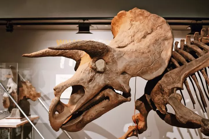 Smithsonian Natural History + American History - Exclusive Tour
