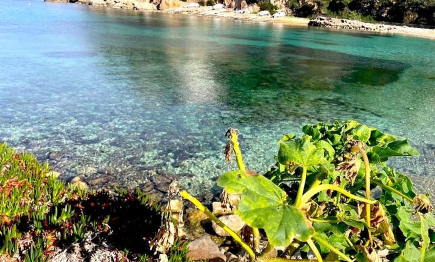 Image 9: Excursiones y retiros personalizados en Ibiza