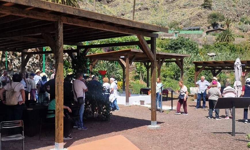 Image 16: Explora el Café de Gran Canaria en Finca Los Castaños