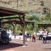 Image 16: Explora el Café de Gran Canaria en Finca Los Castaños