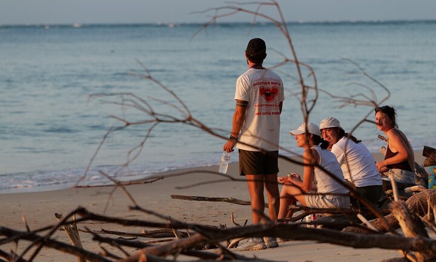 Image 14: Stradbroke Island Eco Day Trip from Brisbane – Wildlife & Beaches