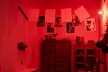Premium Frida Kahlo's Red House and Xochimilco (Small Groups) - Second Medium