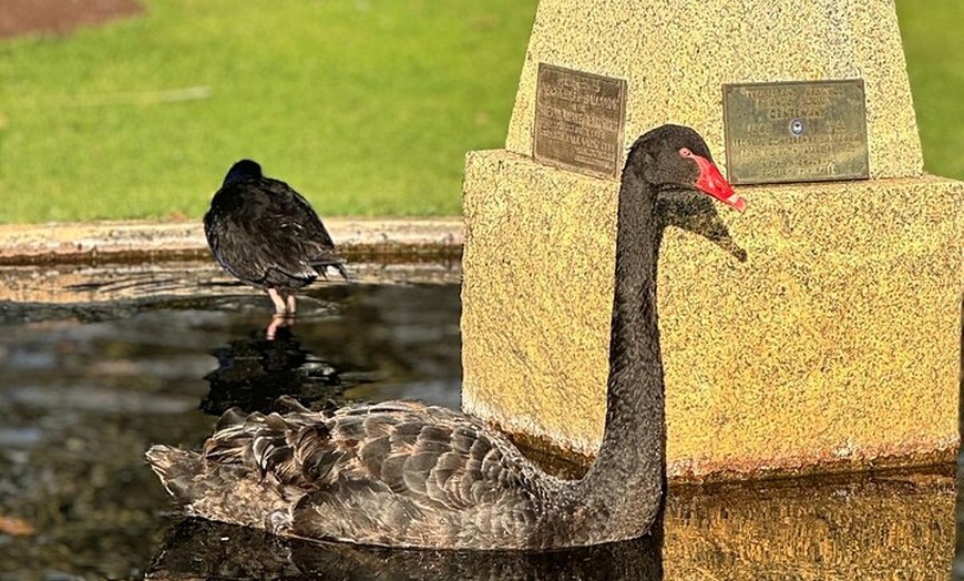 Image 2: Melbourne Private Ballarat Sovereign Hill Gold Mine Tours