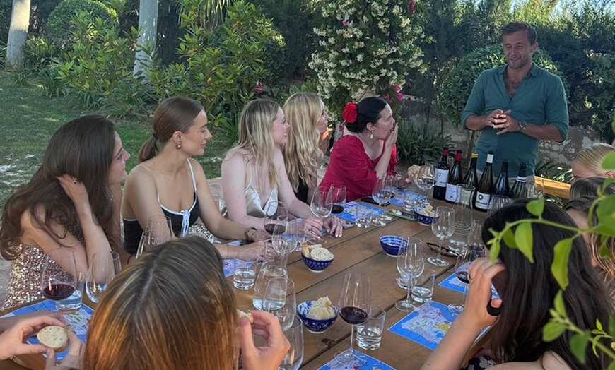 Image 3: Experiencia de cata de vinos con un sumiller profesional en el cent...