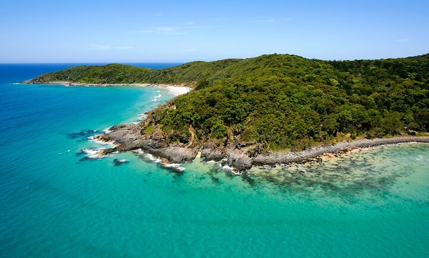 Image 2: Noosa Whale Watching Tours