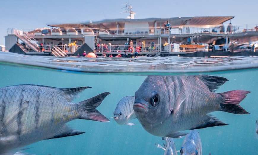 Image 8: Great Barrier Reef Full Day Adventure