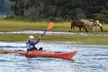 Chincoteague Kayak Rentals around Assateague Island - Second Medium
