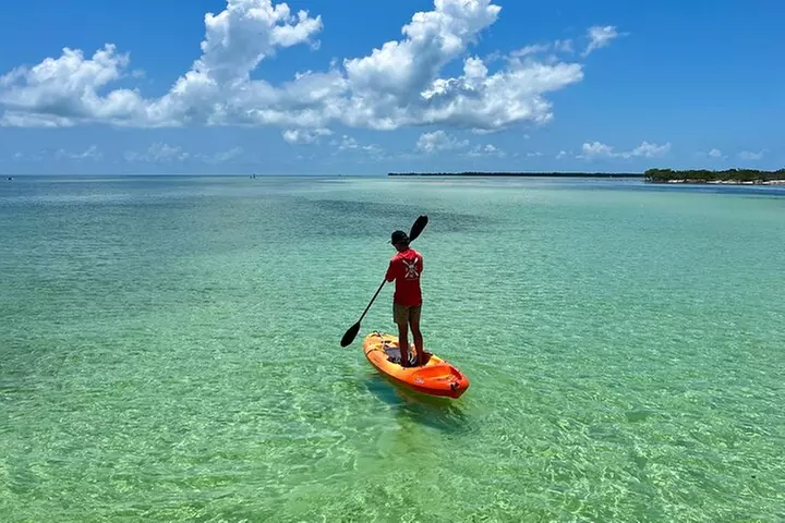 Half-Day Trip from Key West with Kayaking, Snorkeling & Sunset