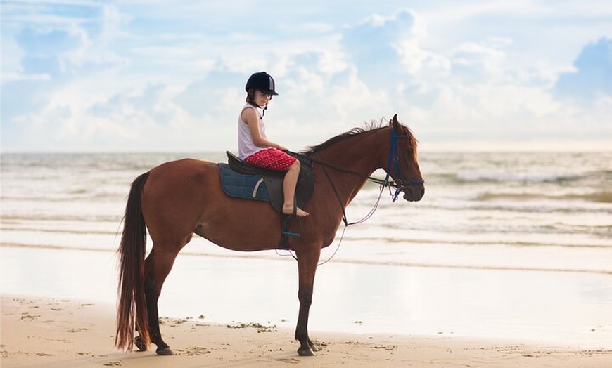 Image 6: Excursión a caballo cerca de la playa en la bahía de Alcúdia