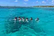 Full Charter All Inclusive for Icacos and Palomino - Second Medium