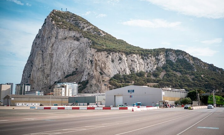 Image 2: Excursión de avistamiento de delfines en Gibraltar desde Jerez