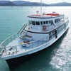 Image 5: Whitehaven Beach Ferry Full Day Return Transfer - BYO Lunch