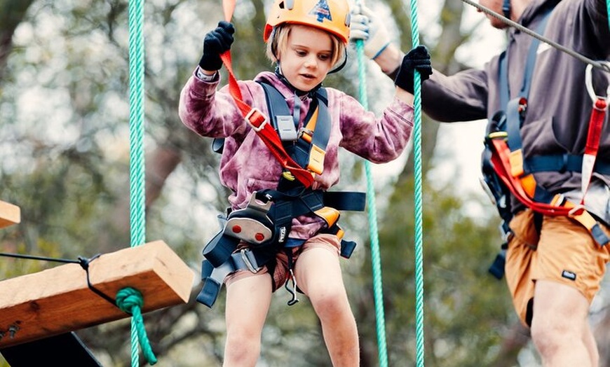 Image 5: Canberra Junior Tree Ropes Course