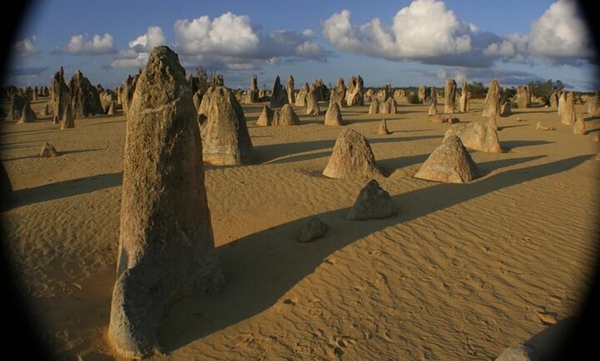 Image 3: Pinnacles and Swan Valley Day Tour