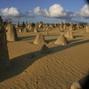 Image 3: Pinnacles and Swan Valley Day Tour