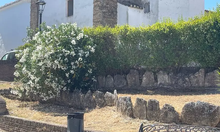 Image 32: Día en Pueblos Blancos y Ronda desde Sevilla