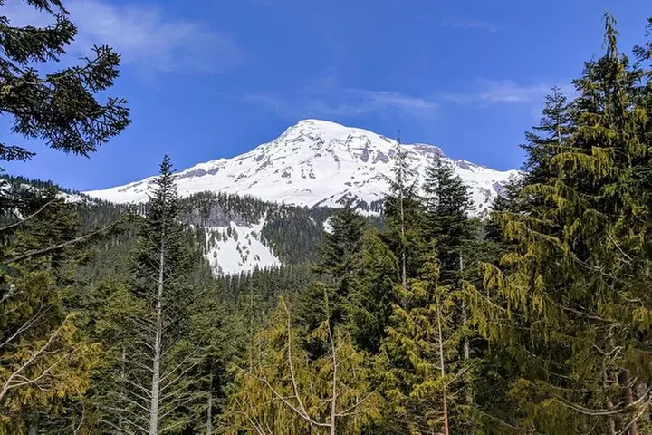 Mount Rainier National Park Luxury Small-Group Day Tour with Lunch - Second Medium