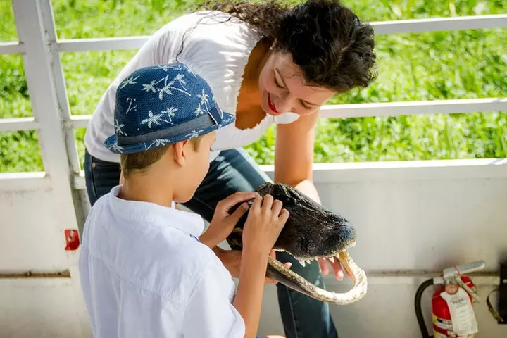 New Orleans Swamp and Bayou Alligator Tour