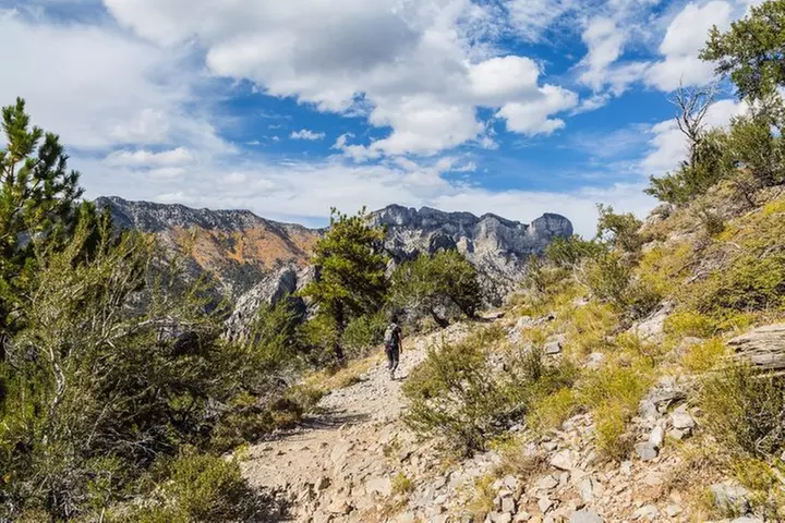 Mount Charleston Tour from Las Vegas