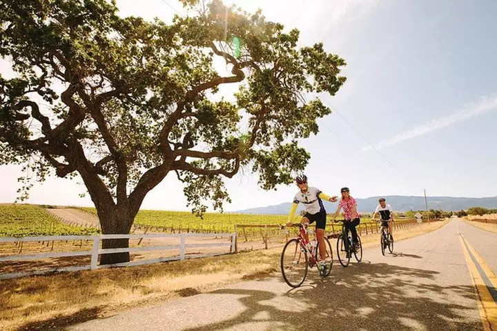 Wine Country Farm to Table Bike Tour w/Lunch - Primary Image