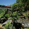 Image 7: Cairns: Waterfall, Wetlands & Kuranda Scenic Rail All Inclusive