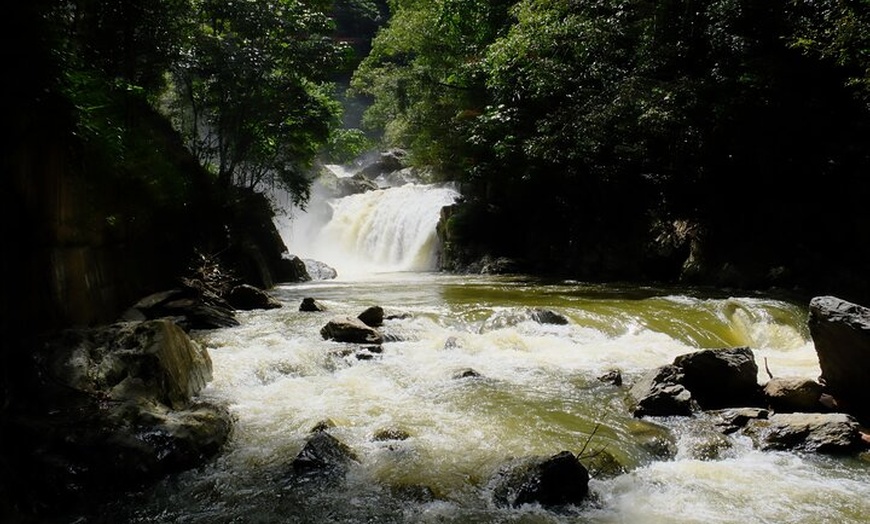 Image 2: Cairns Day Tour Private Waterfall