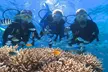 Quicksilver Great Barrier Reef Snorkel Cruise from Port Douglas - Image 7