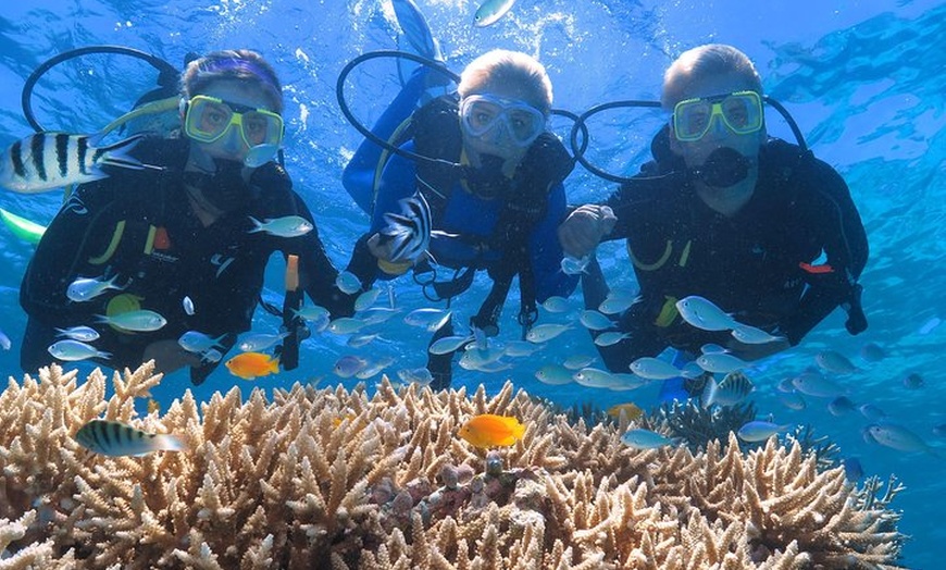 Image 2: Quicksilver Great Barrier Reef Snorkel Cruise from Port Douglas