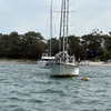 Image 4: Jervis Bay and Shoalhaven South Coast NSW Private Tours