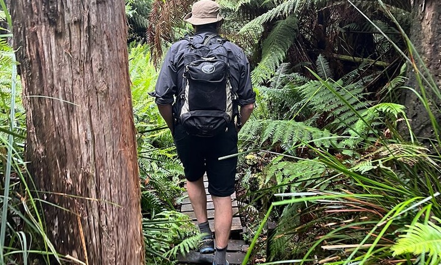 Image 6: 3 Day Private Tour in Tasmania