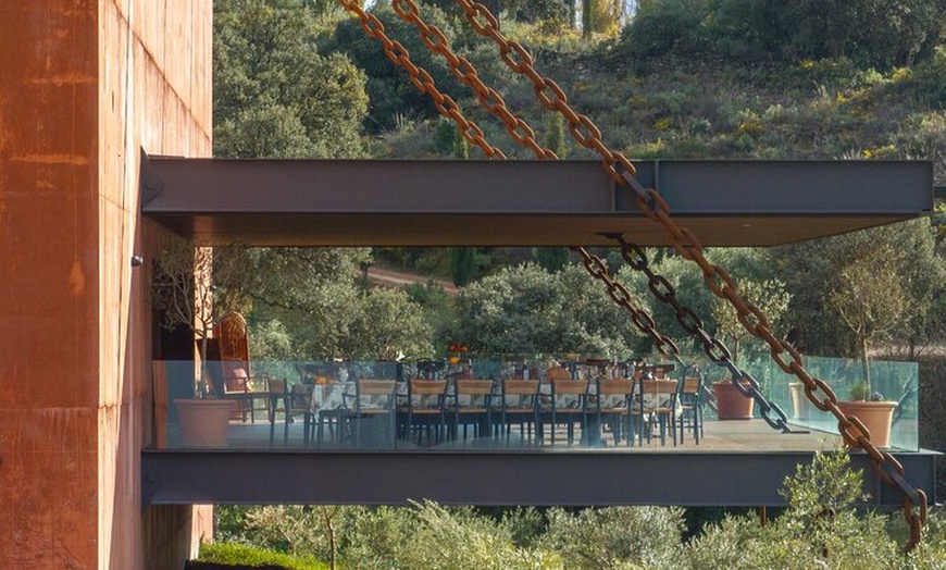 Image 4: LA Almazara Aceite de Oliva y Degustación con Audioguía