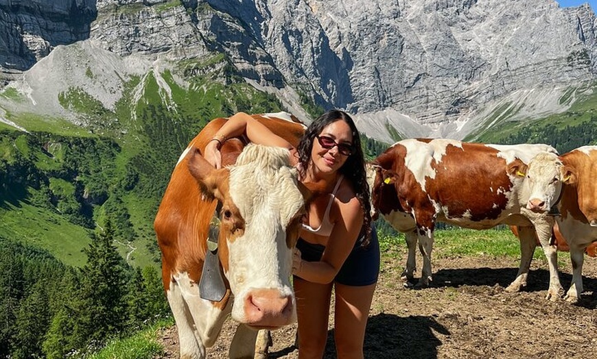 Image 3: Munich Loop - Zweitägiger Alpen Roadtrip im Cabrio
