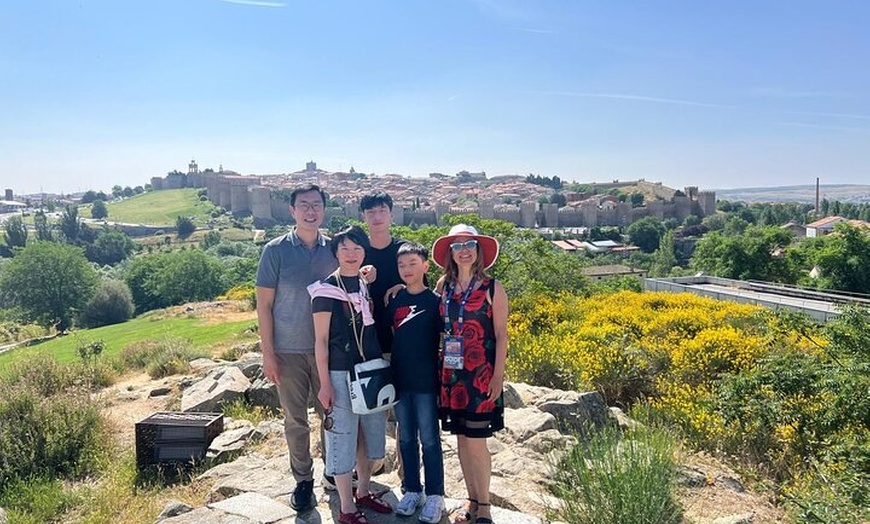 Image 3: Tour PRIVADO y Exclusivo de día completo a Segovia y Ávila desde Ma...