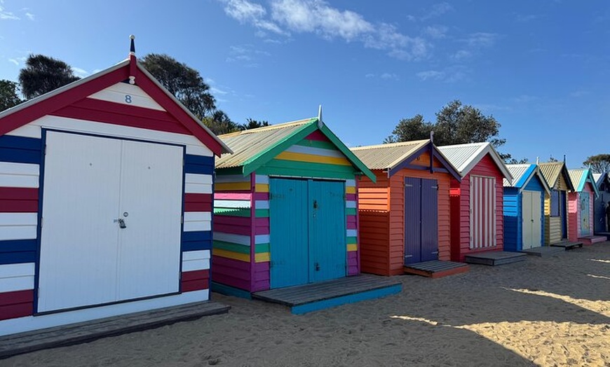 Image 2: Phillip Island and Moonlit Sanctuary Premium Day Tour Small group