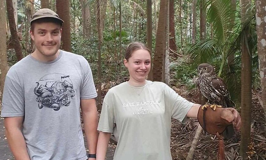 Image 11: Buderim Forest Flight Owl Encounter and Tour