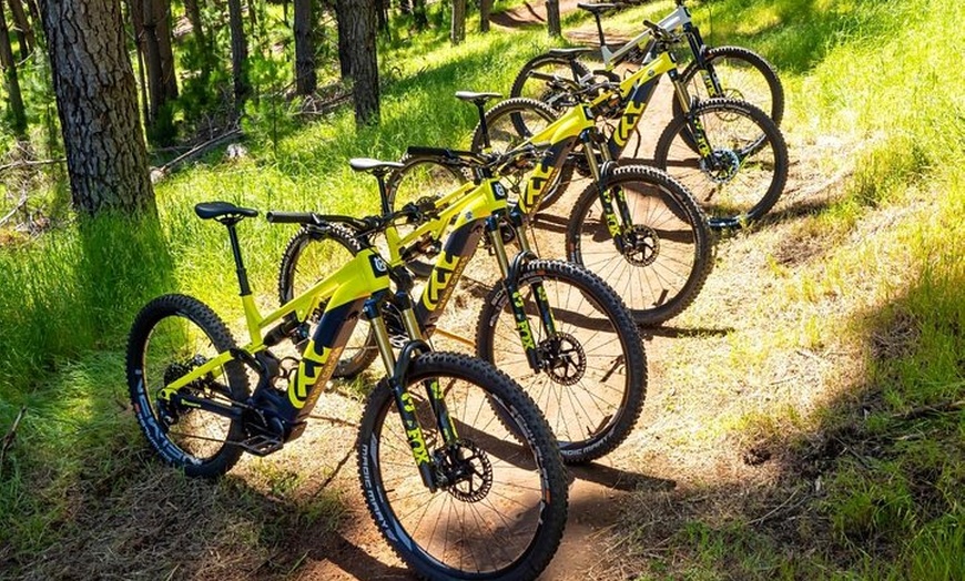 Image 3: Local Gems 3 Hour MTB Small Group Tour