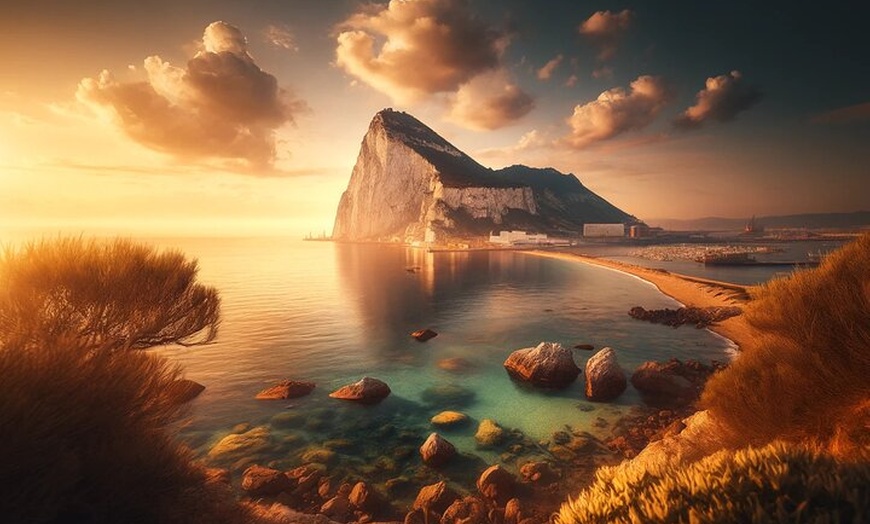 Image 5: Aventura de delfines en Sotogrande con bebida incluida