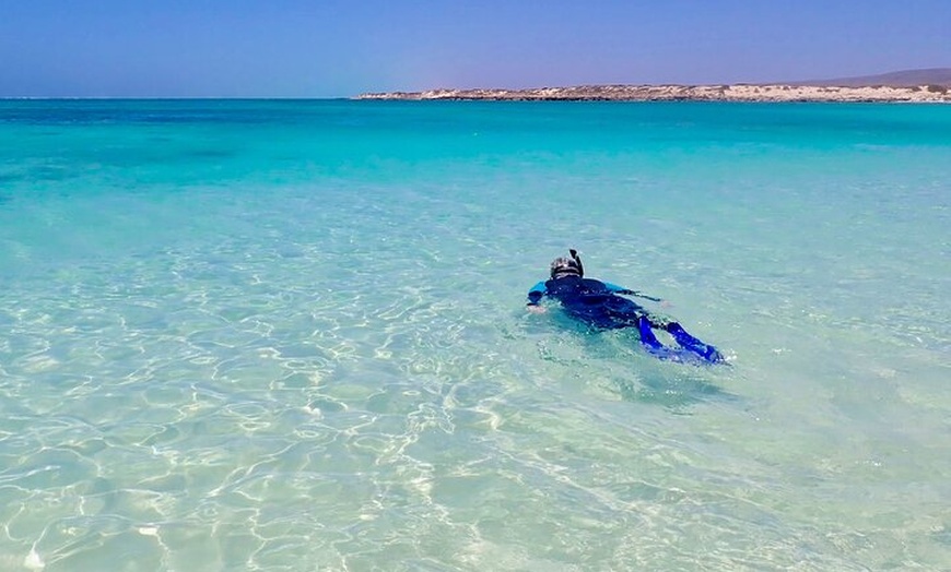 Image 4: Ningaloo In A Full day Hike and Snorkel Tour