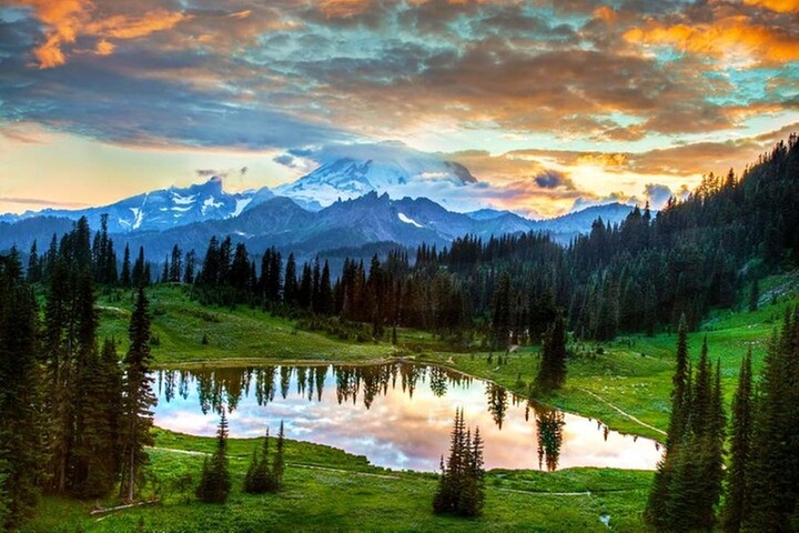 Small Group Mt Rainier National Park Day Tour from Seattle 2CanGo