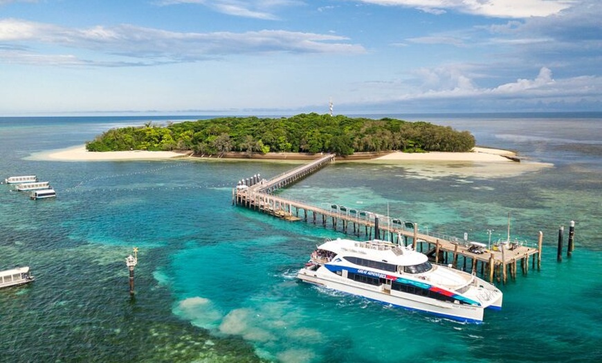 Image 2: 1 Day Green Island & Green Barrier Reef Day Tour from Cairns