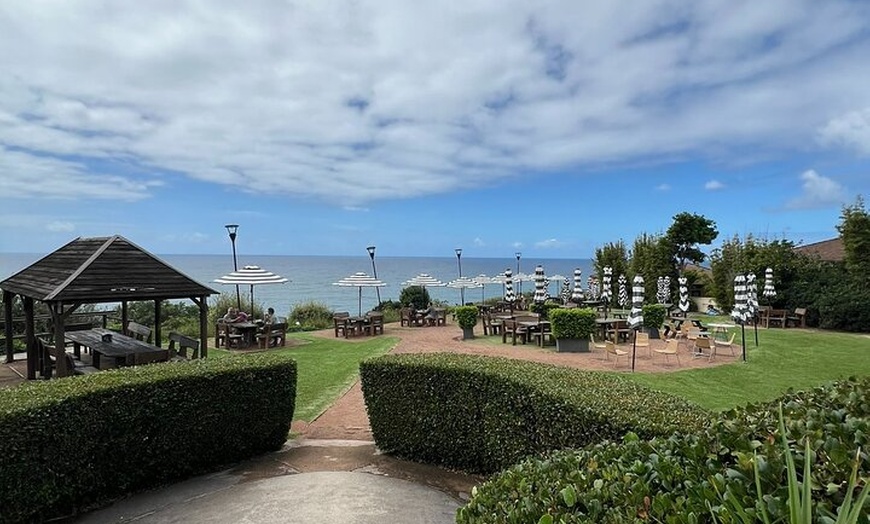 Image 19: South Coast Private Tour & Royal National Park Inc