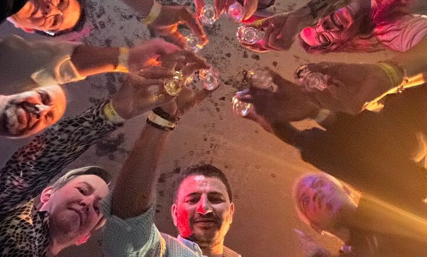 Image 4: The wildest Pub Crawl in Hamburg