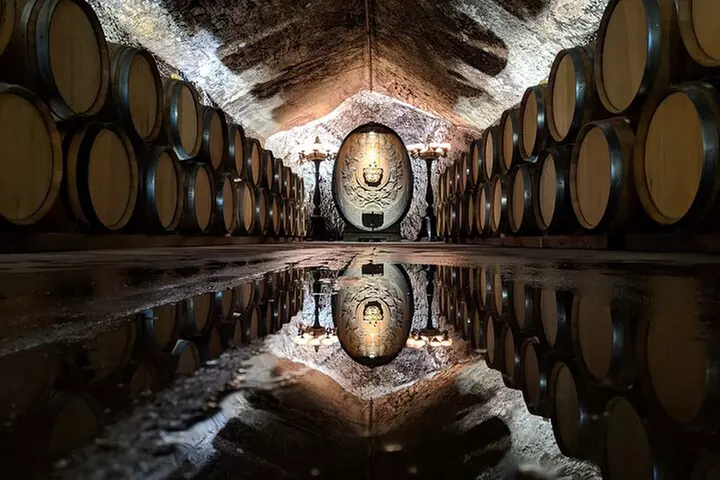 Sonoma County Wine Segway Tour