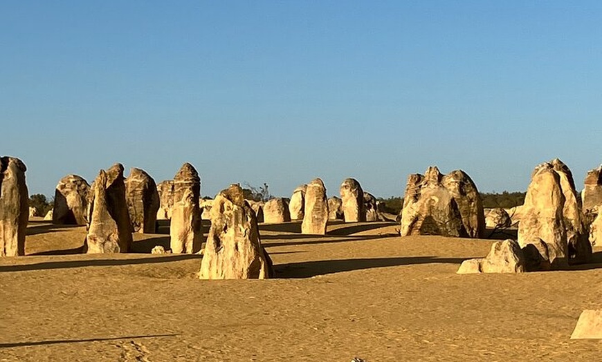 Image 4: 4WD Pinnacles Desert Turquoise Coast and Sand Boarding Adventure