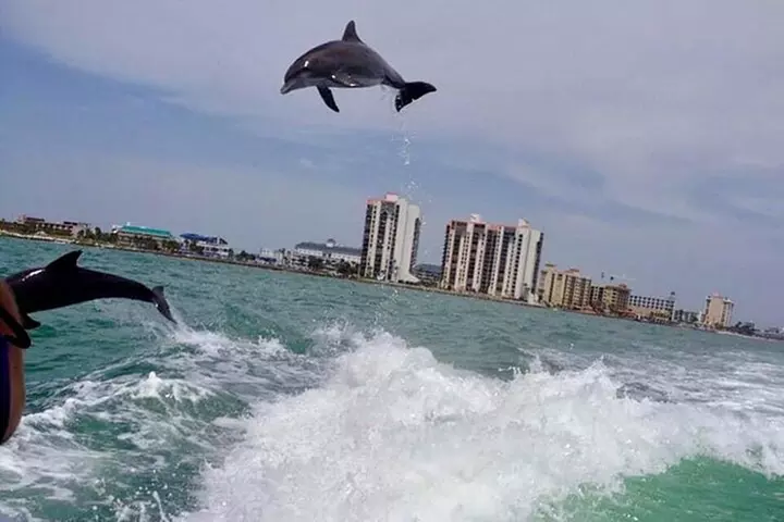 Dolphin Watching Sunset Cruise - Primary Image